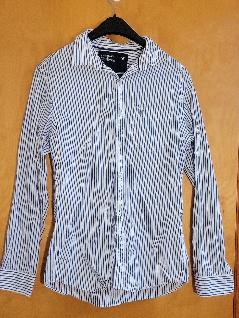 American Eagle Outfitters White Button-Down with Blue Pinstripes